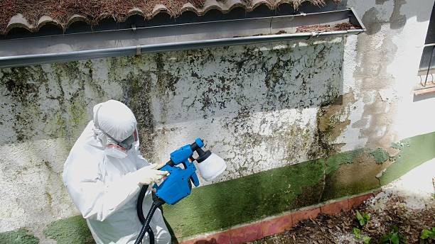 Top rated local Attic Mold Remediation specialists in Gwynn Oak, MD